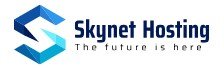 SkyNet.hosting